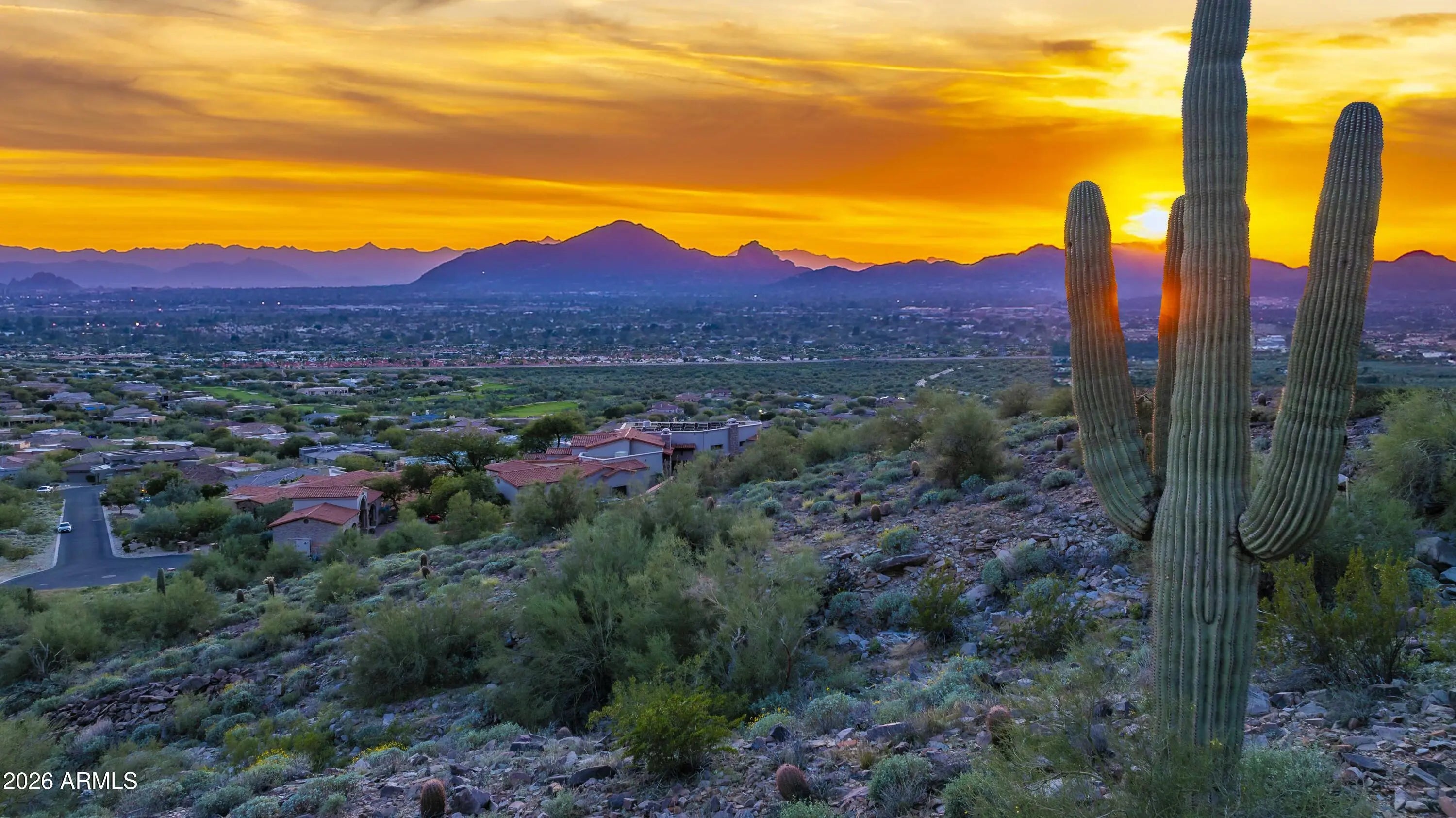 Photo of Listing #7010263