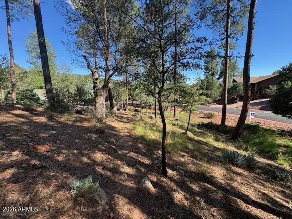 Lot 33 Sage Court (unit 33), Pine
