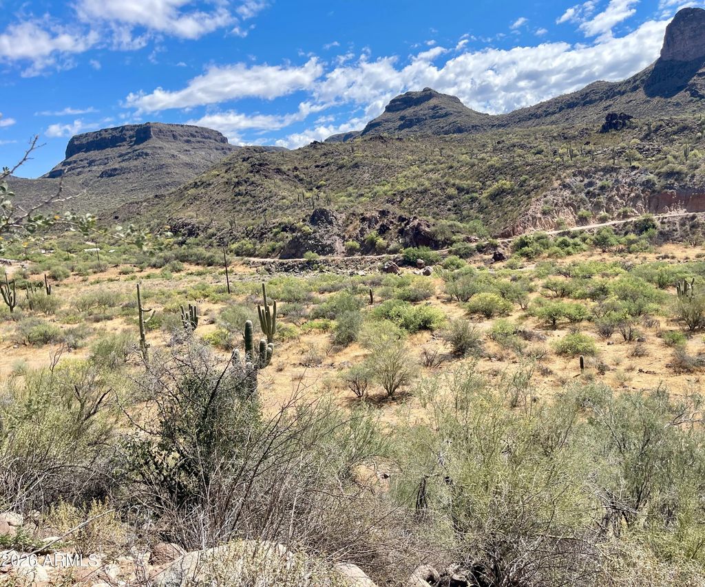 31900 S Tillys Trail (unit -), Black Canyon City