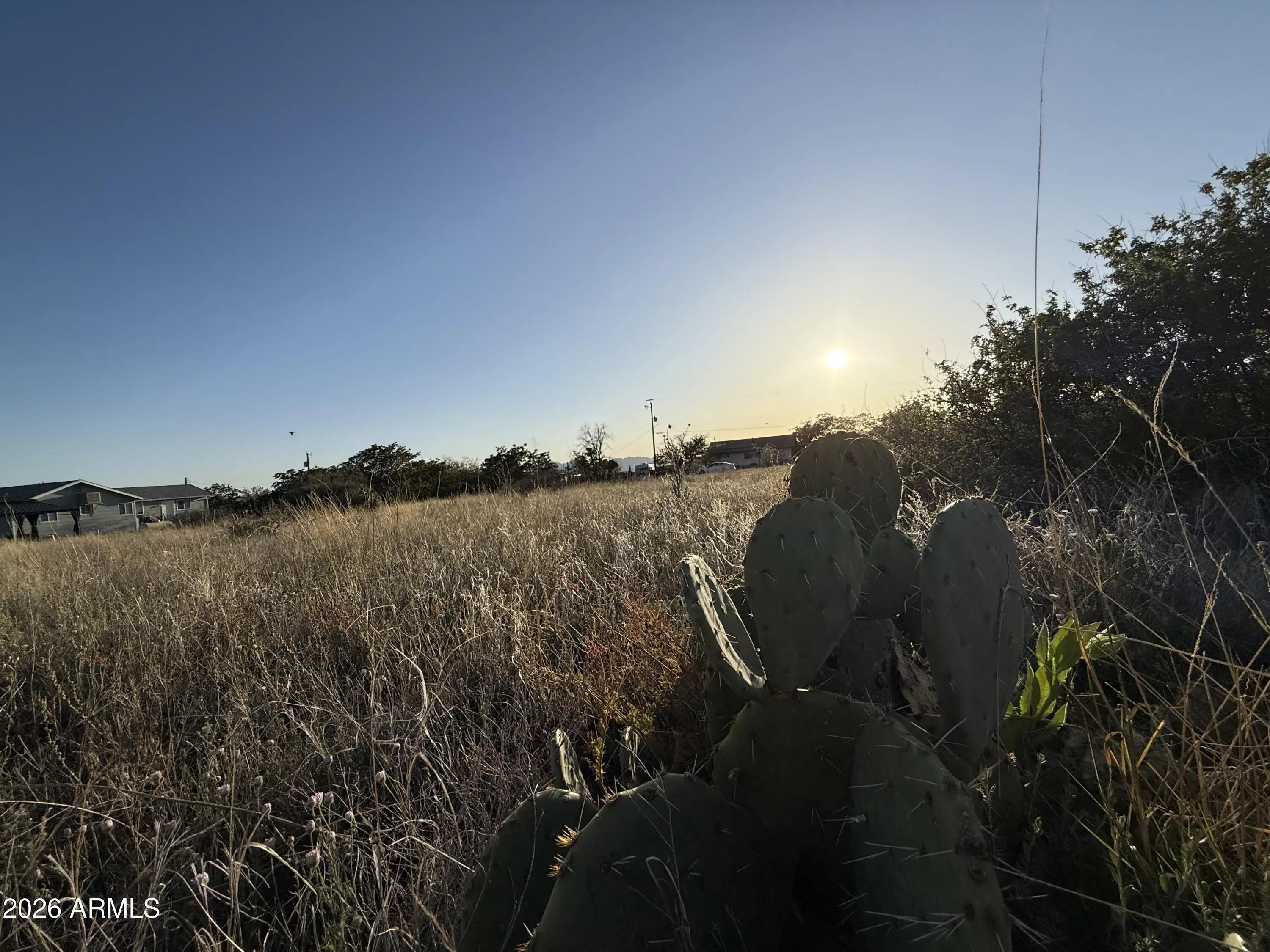 Photo of Listing #7016159