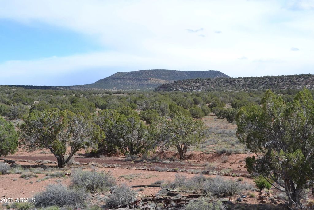 32 N8544 -- (unit 398), Concho