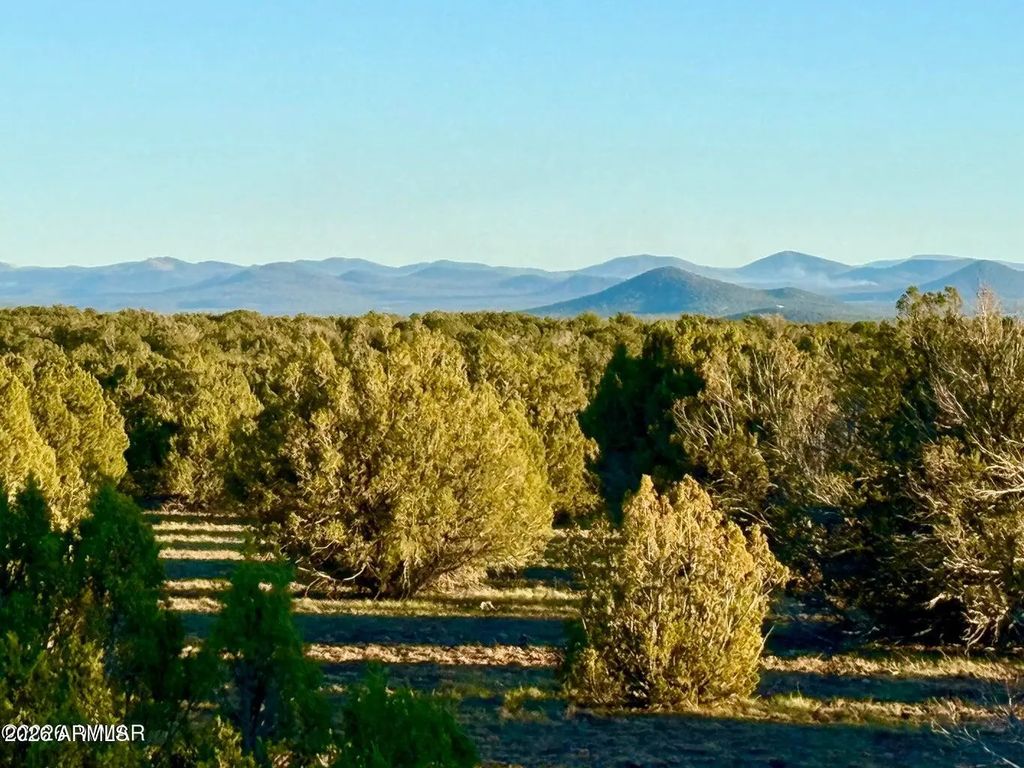 9023 Appaloosa Trl Lot A, 5 Acres -- (unit -), Show Low