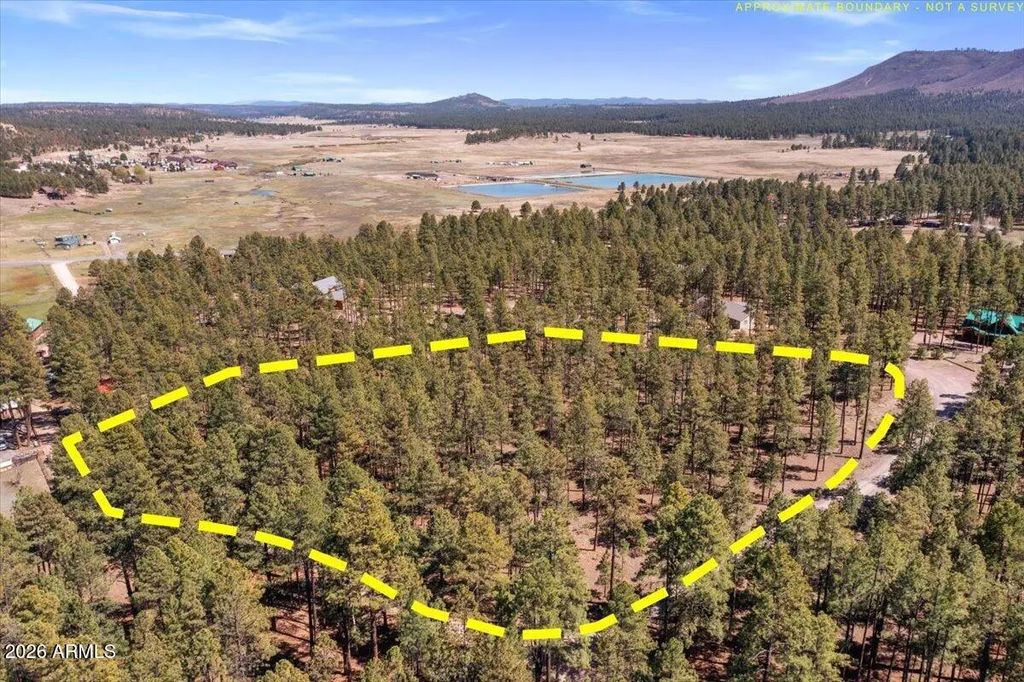 Tbd County Rd 2325 -- (unit -), Alpine