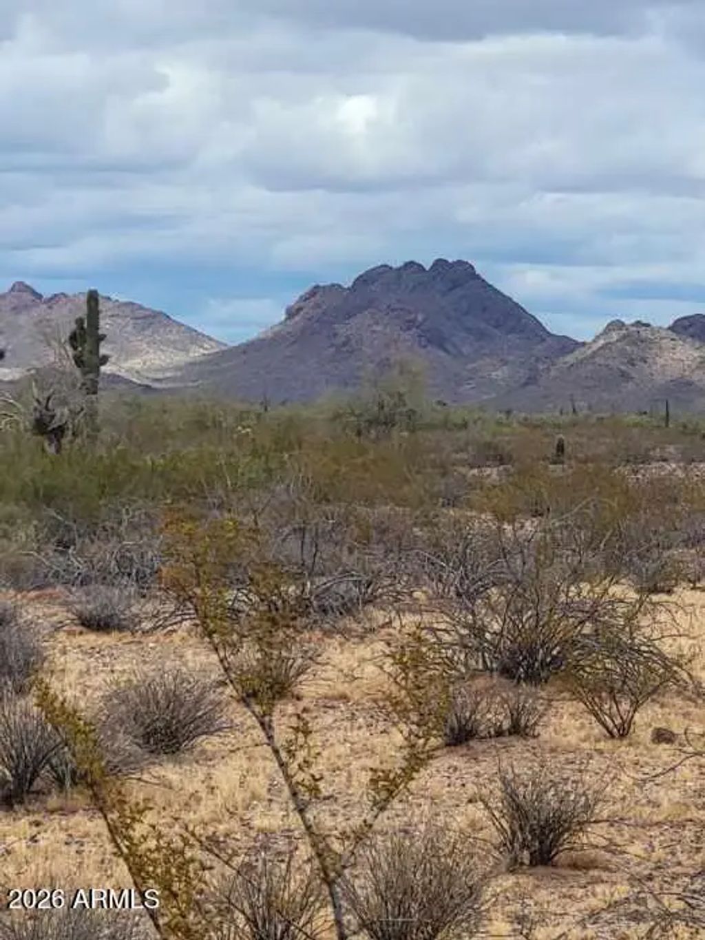 W Smokehouse Trail (unit 89 & 90), Wickenburg