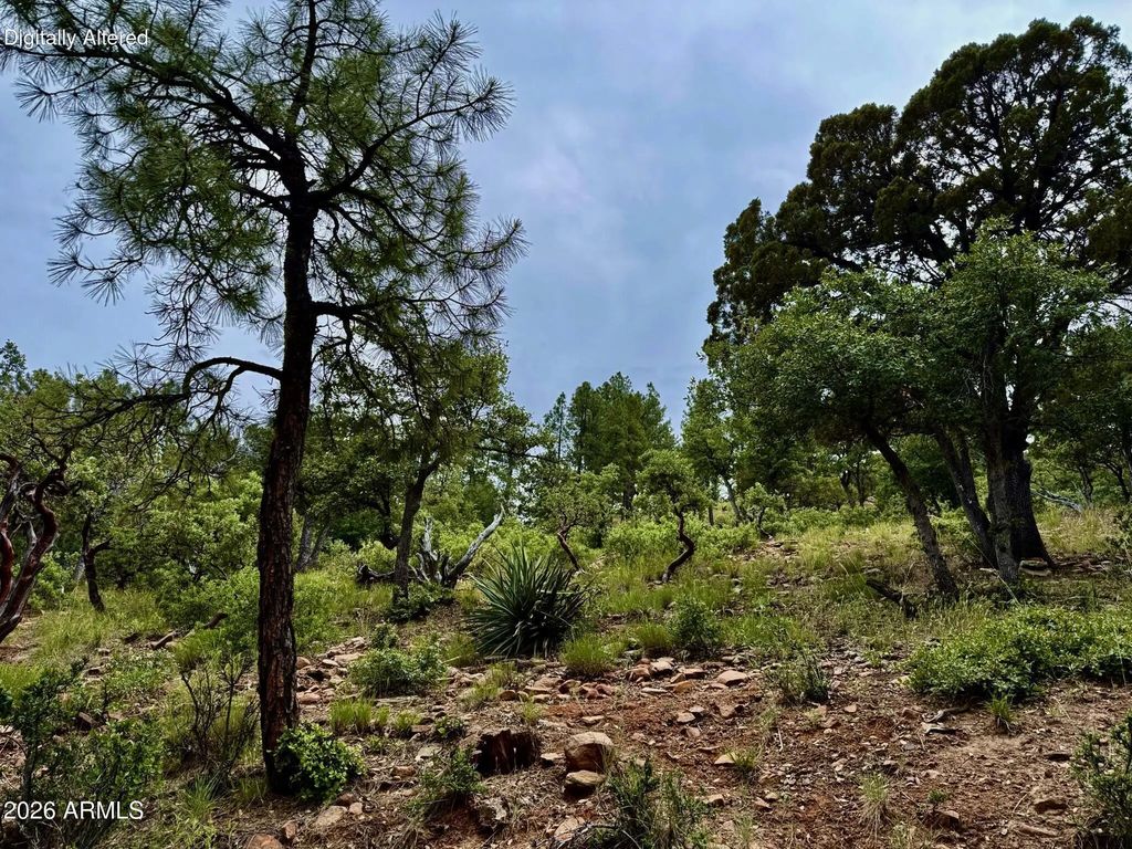 161 N Portal Drive (unit 161), Pine