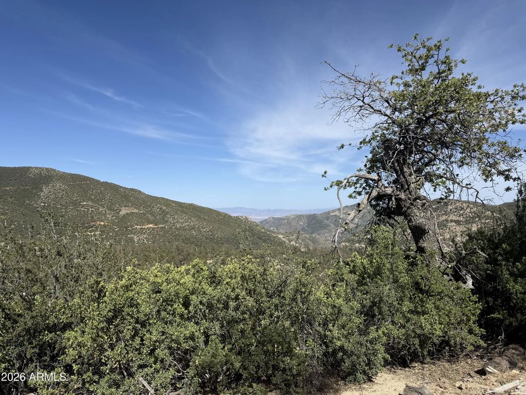 E Mountian View Road (unit -), Crown King