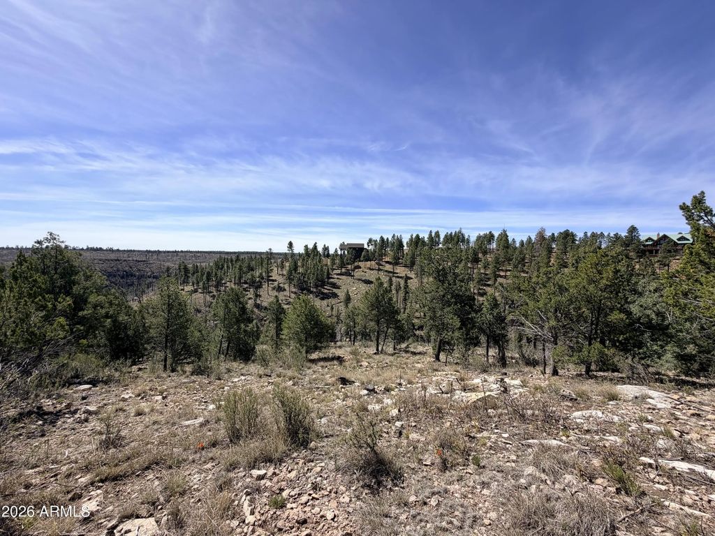 5088 Morning View Drive (unit 6), Happy Jack
