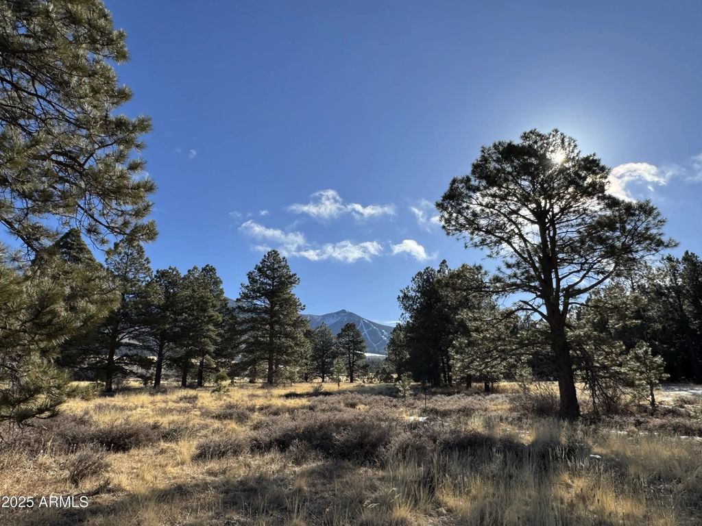 003 Hart Prairie Rd -- (unit -), Flagstaff