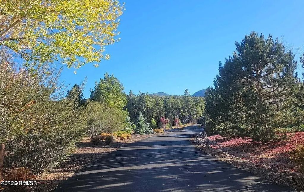 1021 Stone Hollow Loop (unit 2), Williams
