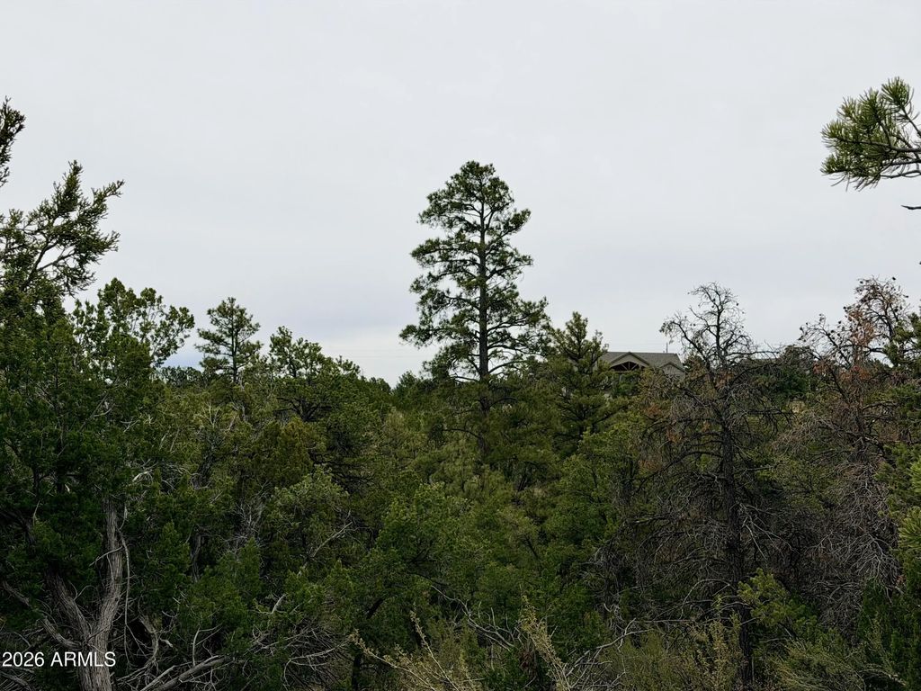 4918 Sunset Ridge Loop (unit 199), Happy Jack