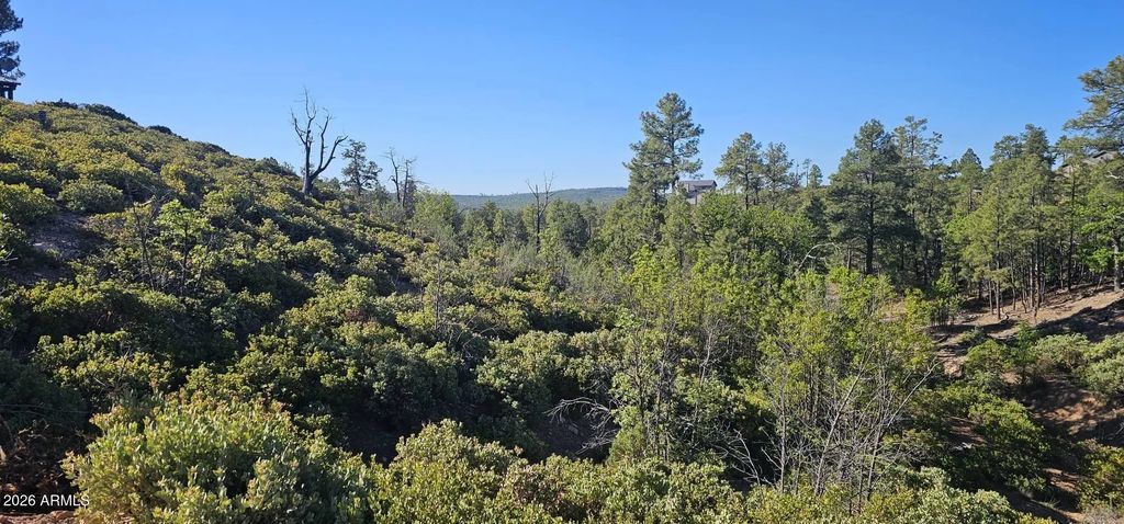 6303 Deer Run Road (unit 398), Show Low