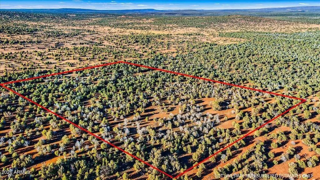 8602 N Ten Tanks Road (unit 157), Ash Fork
