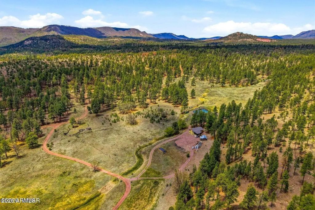 28 County Road 2310, Alpine