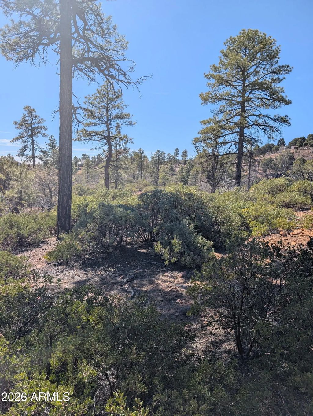 958 Navajo Trail (unit 435), Show Low