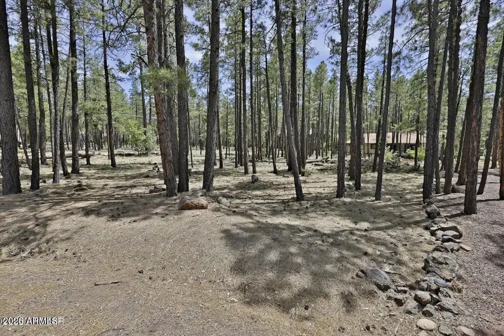 2682 Brahma Circle (unit -), Pinetop