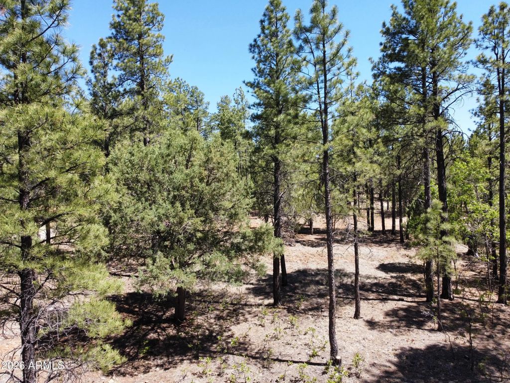 4450 Blackfoot Circle (unit 415), Happy Jack