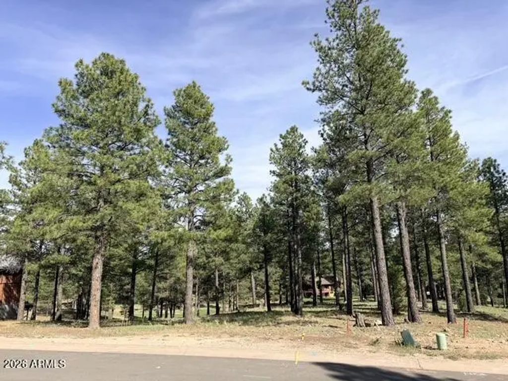3698 S Woodland Hills Drive (unit 383), Flagstaff