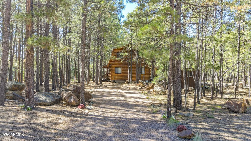 1448 Mineral Drive, Forest Lakes