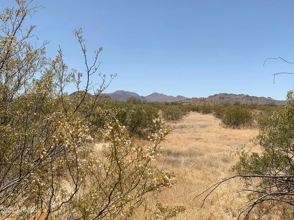 0001 W Whirly Bird Lot 4 Road (unit -), Maricopa