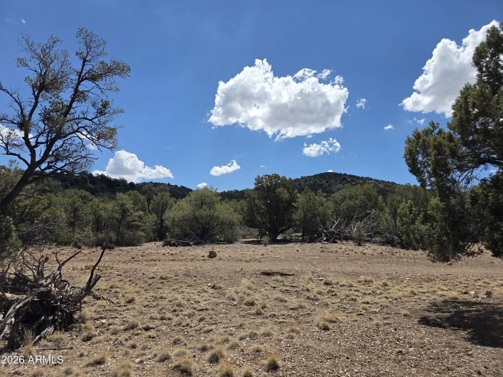 824 Seligman Yavapai County -- (unit -), Seligman