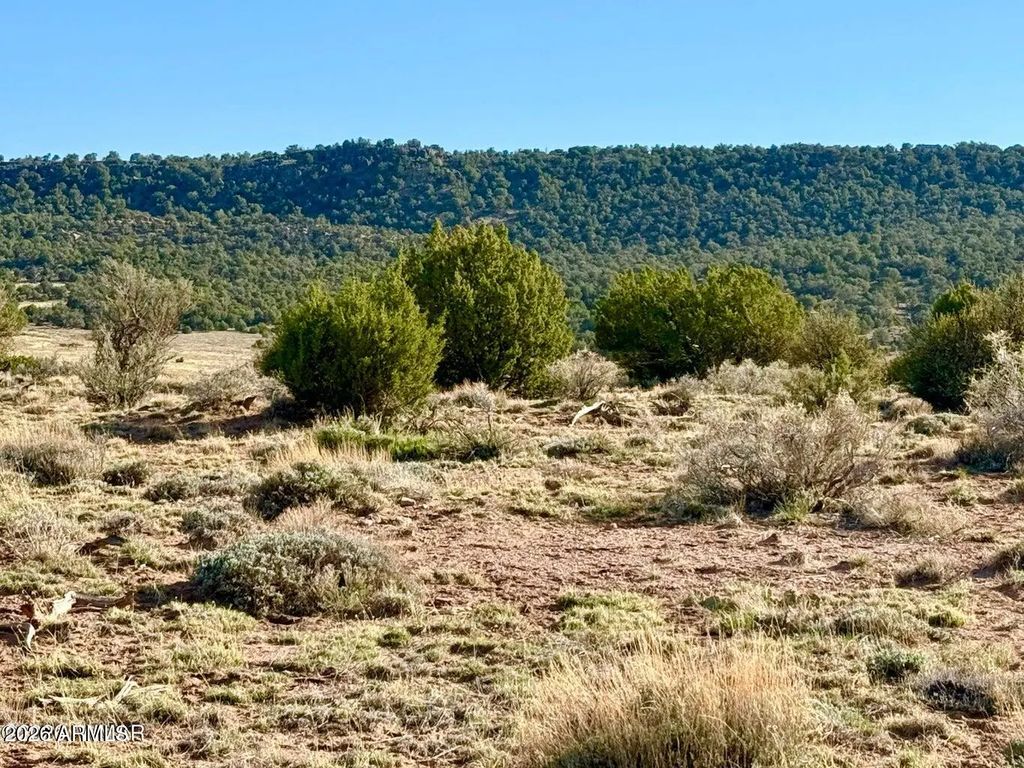 85 Co Rd 8500 Acres -- (unit -), Concho