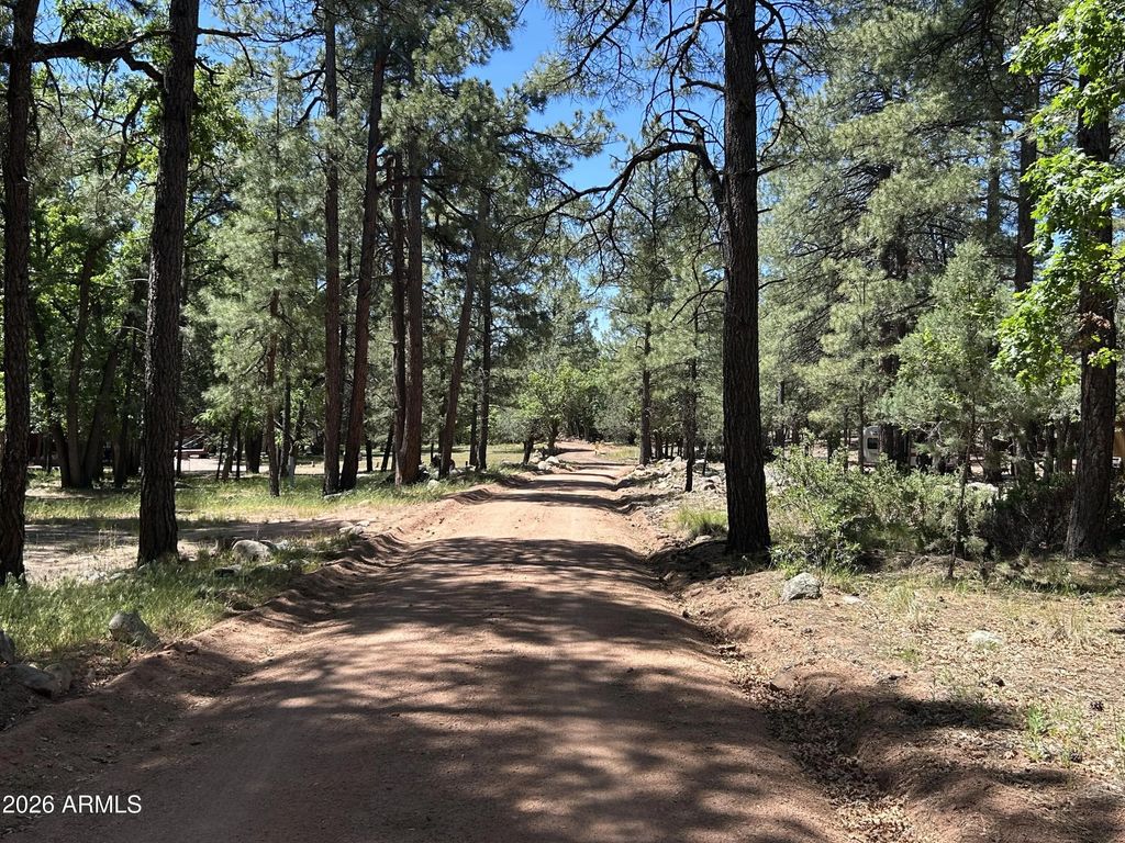 374 N Majestic Elk Lane (unit 37), Payson