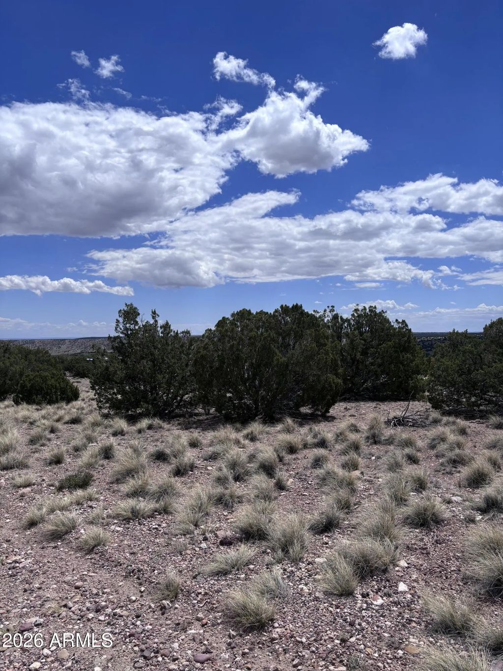 71 Gila Drive (unit 1), Concho