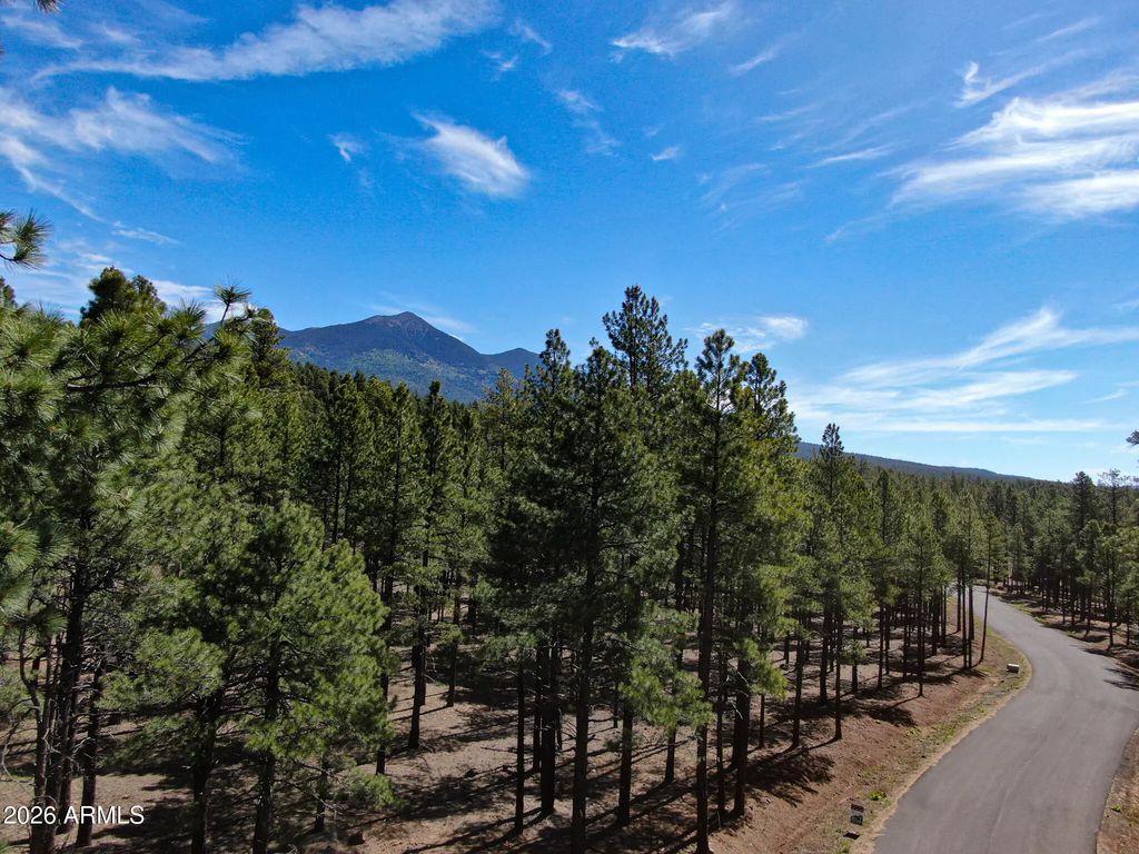 7690 W Taylor Springs Lane (unit 63), Flagstaff