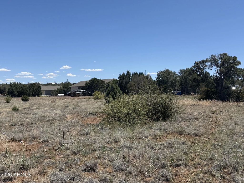 8394 Silver Creek Drive (unit 35), Show Low