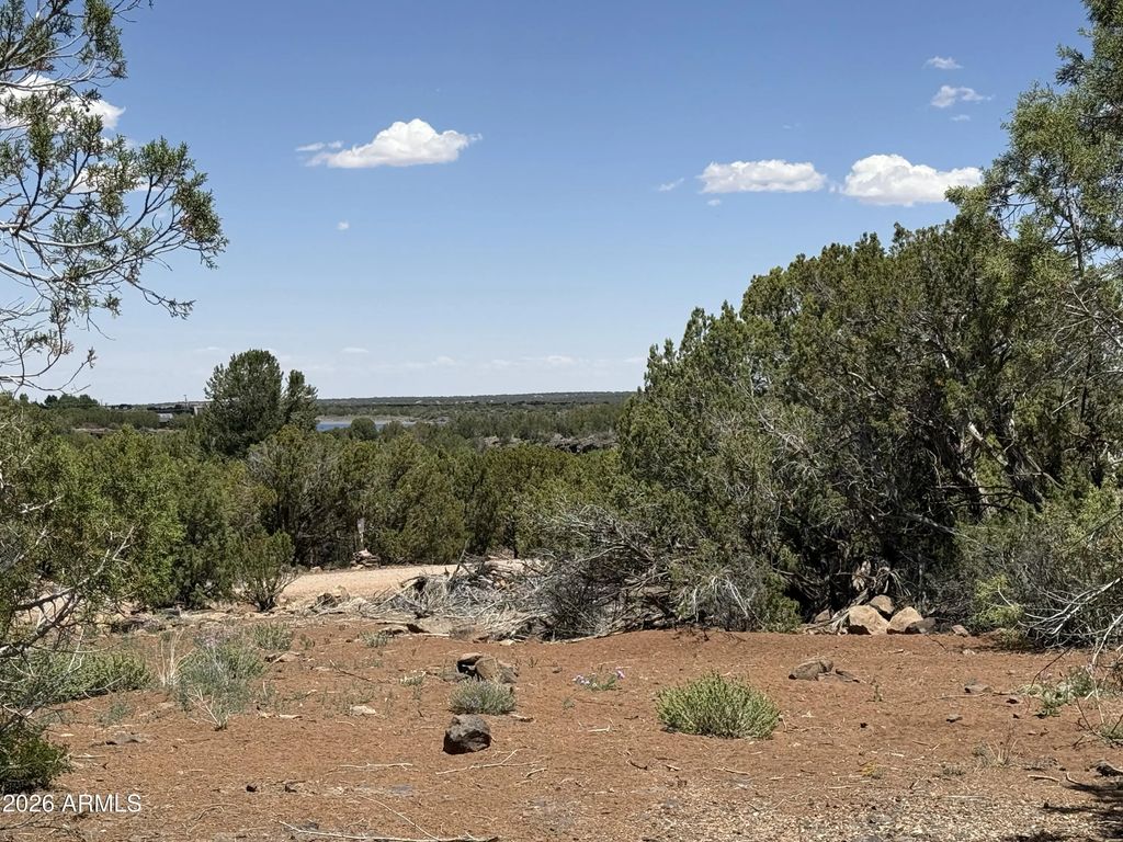 1885 Daggs Street (unit 38), Show Low