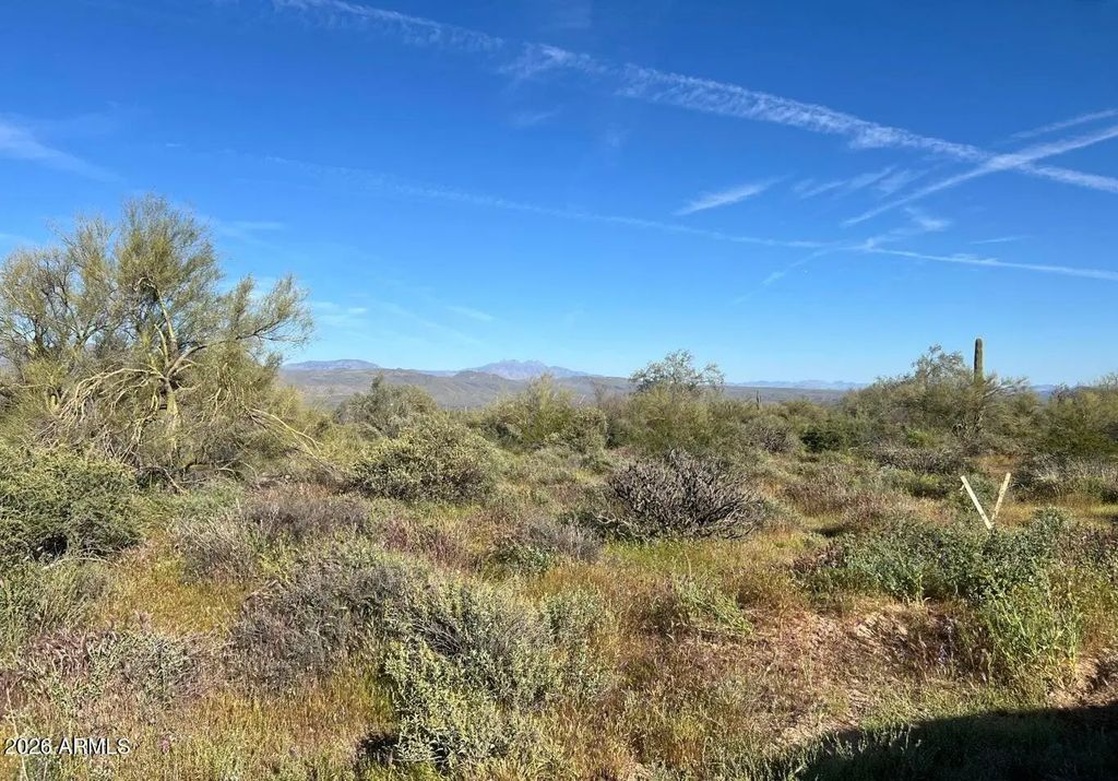 168xx N 168 Street (unit -), Rio Verde