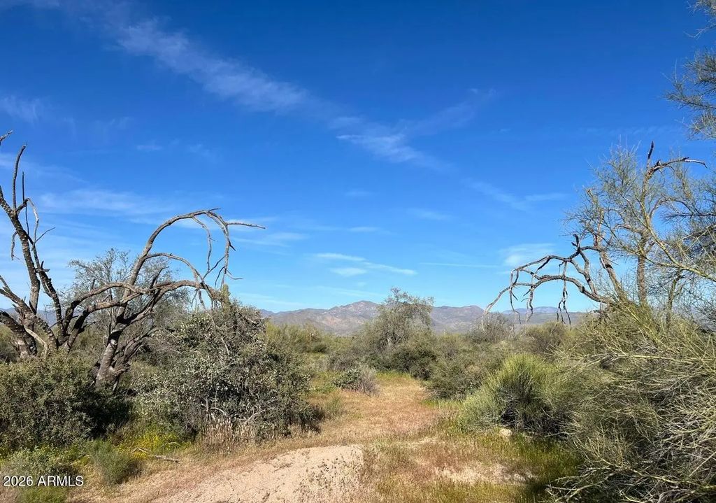 168xx N 168 Street (unit -), Rio Verde