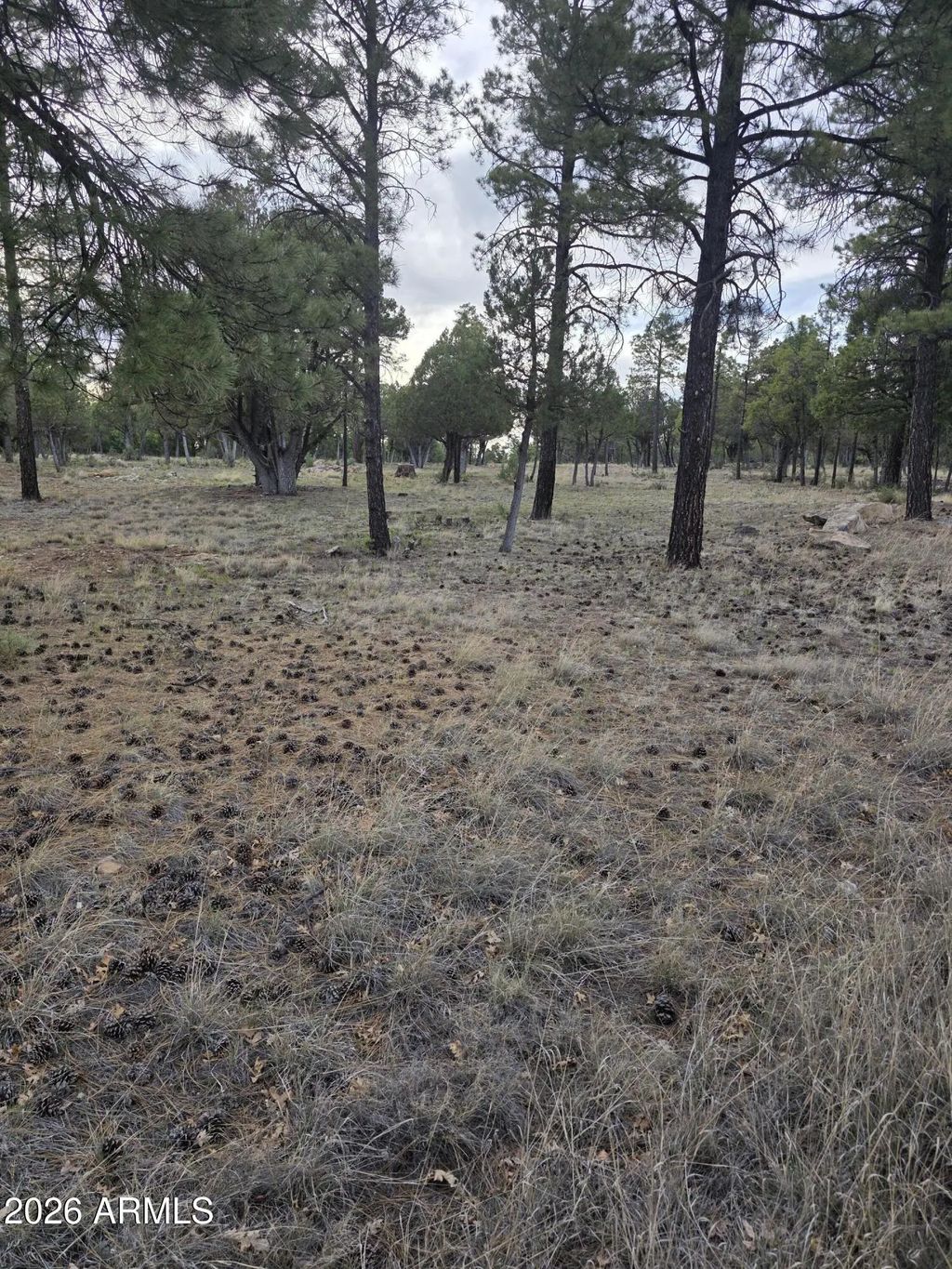 2584 Arapaho Drive (unit 600), Happy Jack