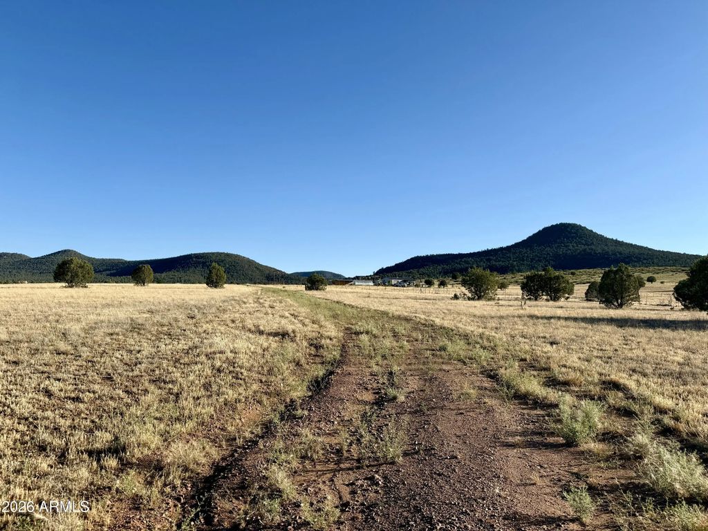 228b S Dutchmans Trail (unit -), Young