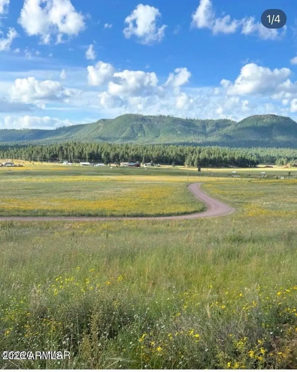 27 County Road 2330 -- (unit 32), Alpine