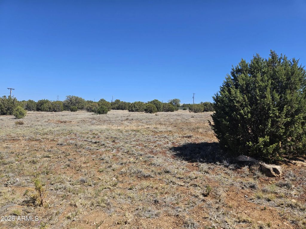 2429 Bourdon Ranch Road (unit F), Show Low
