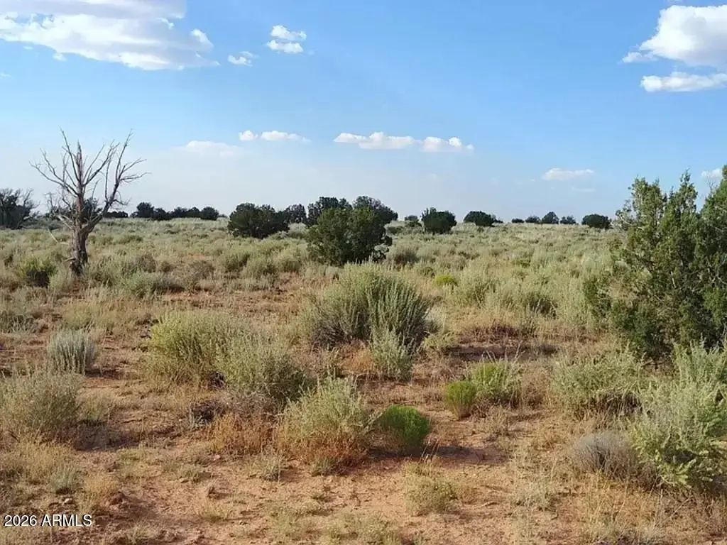 Kims Ranch Road (unit -), Snowflake