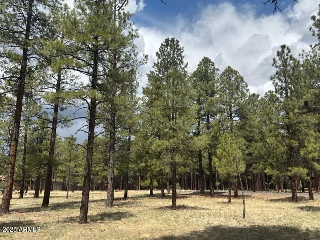 Lot 1 Hattie Greene -- (unit 1), Flagstaff