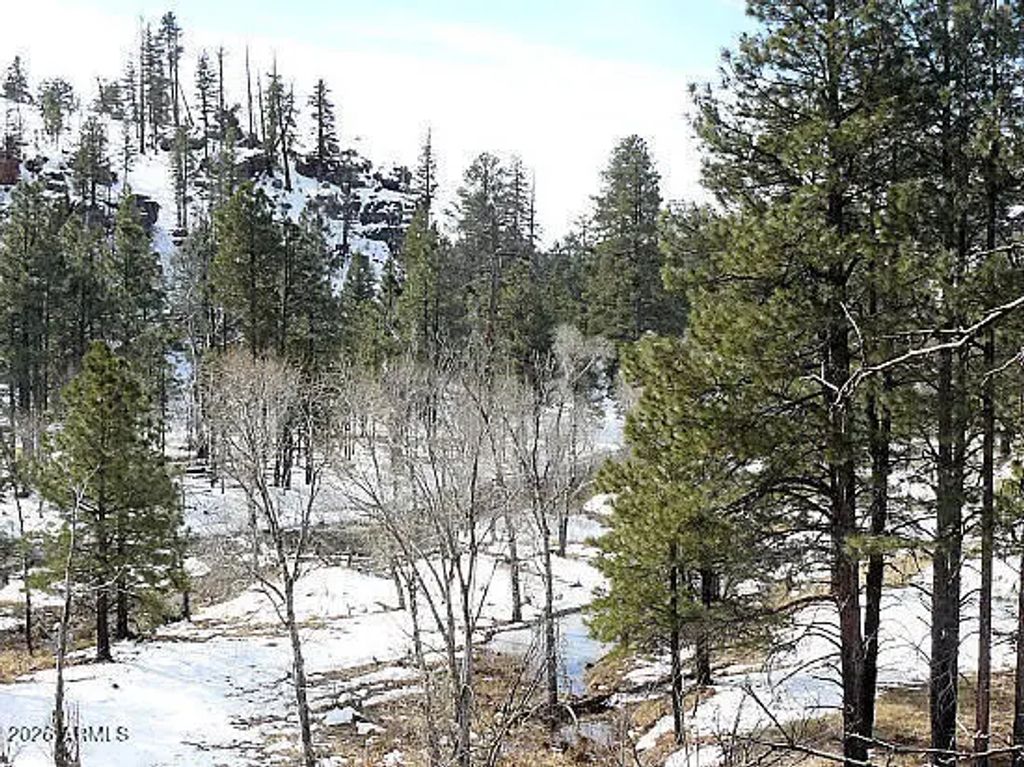 3369 Windy Lane (unit 145), Heber