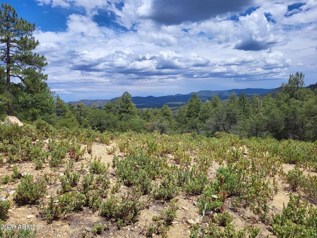 1610 S High Valley Ranch Road (unit 6), Prescott