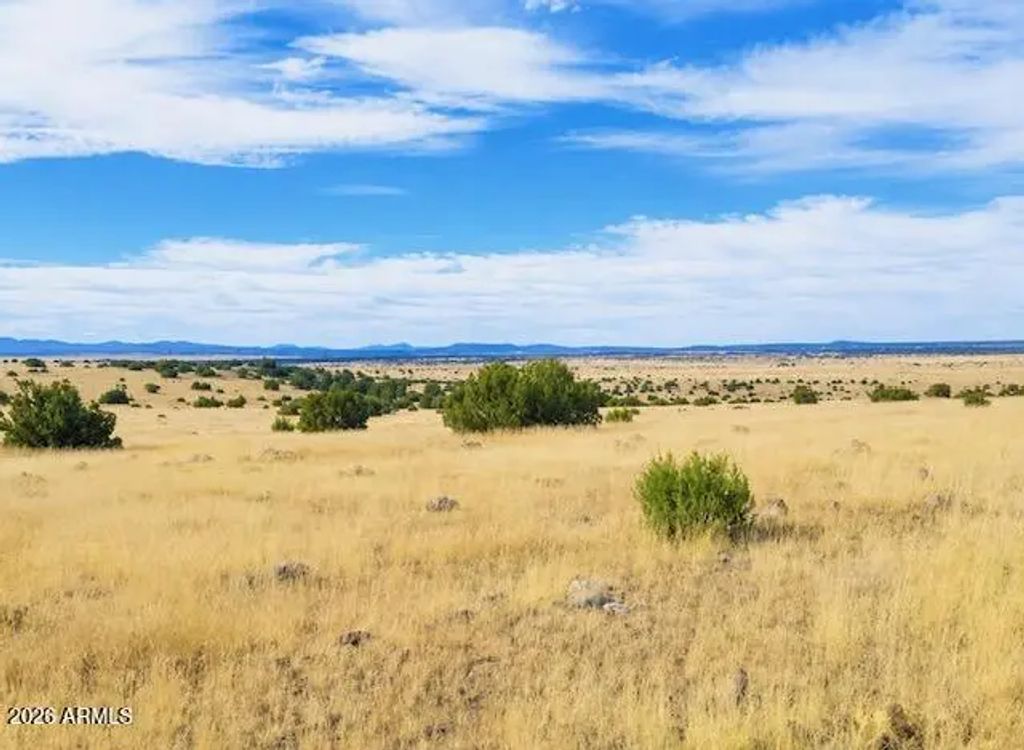 Arapaho -- (unit 3), Concho