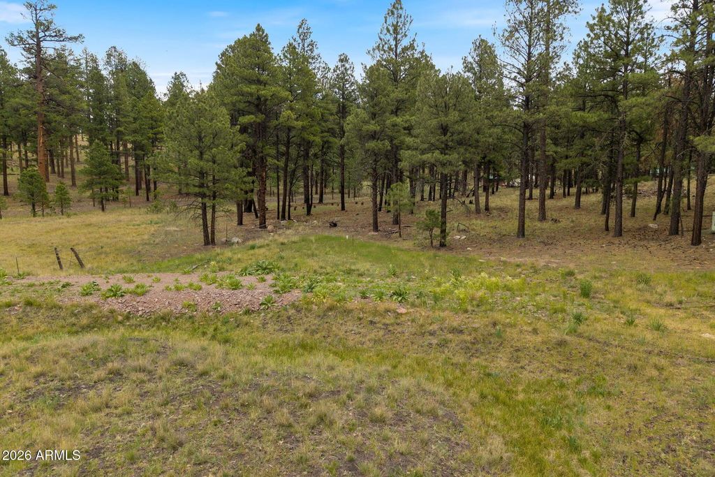 Tbd County Rd 2121 -- (unit -), Alpine