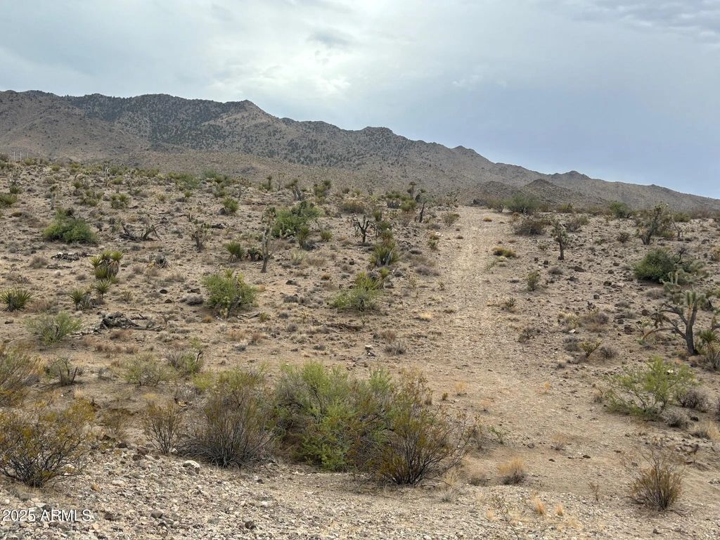 N Mohave Drive (unit 48), Dolan Springs