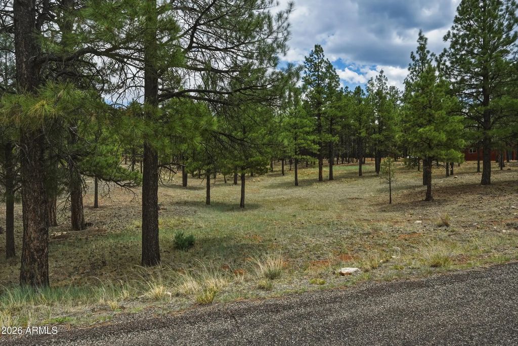 2799 Cherokee Way (unit 381), Happy Jack
