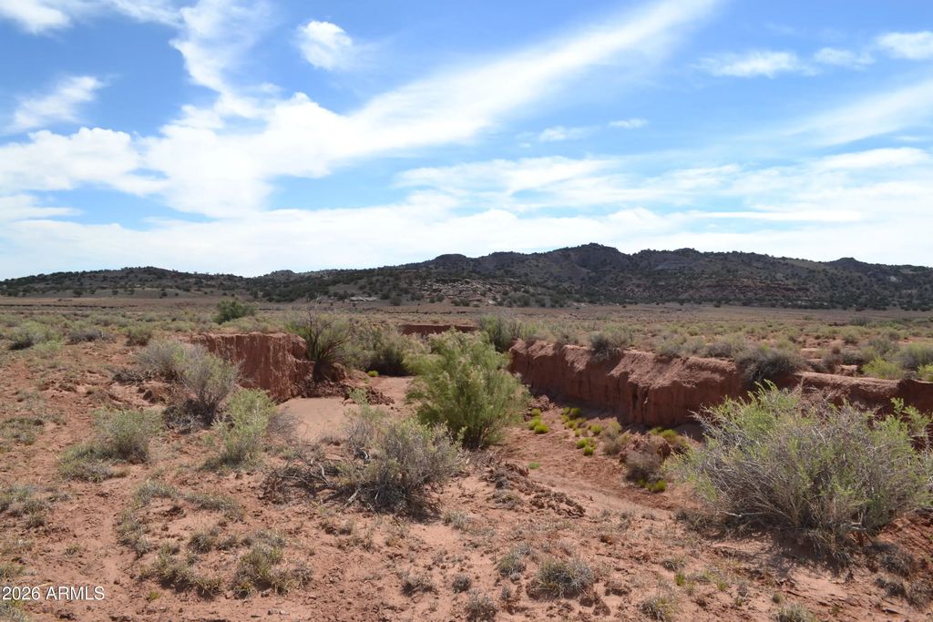 Lots 18,19 N8577 -- (unit 18), Concho