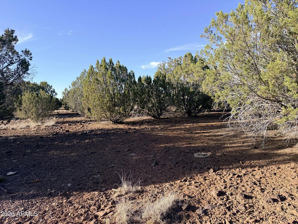 9070 Pinto Trail (unit -), Show Low