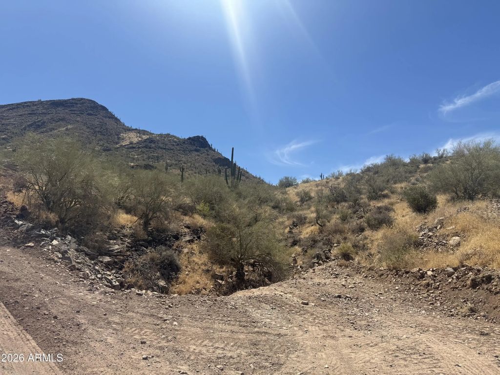 1916 E Mariola Way (unit -), Phoenix