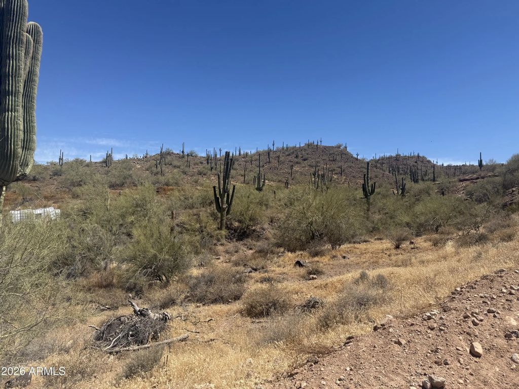 1913 E Mariola -- (unit -), Phoenix