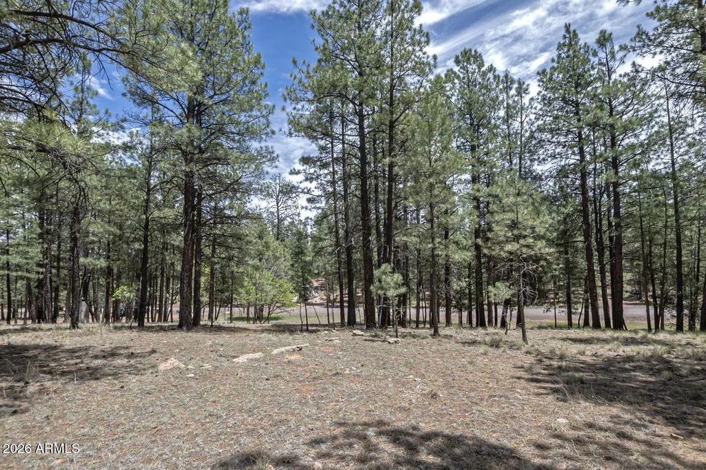 2132 W Pine Valley Road, Happy Jack
