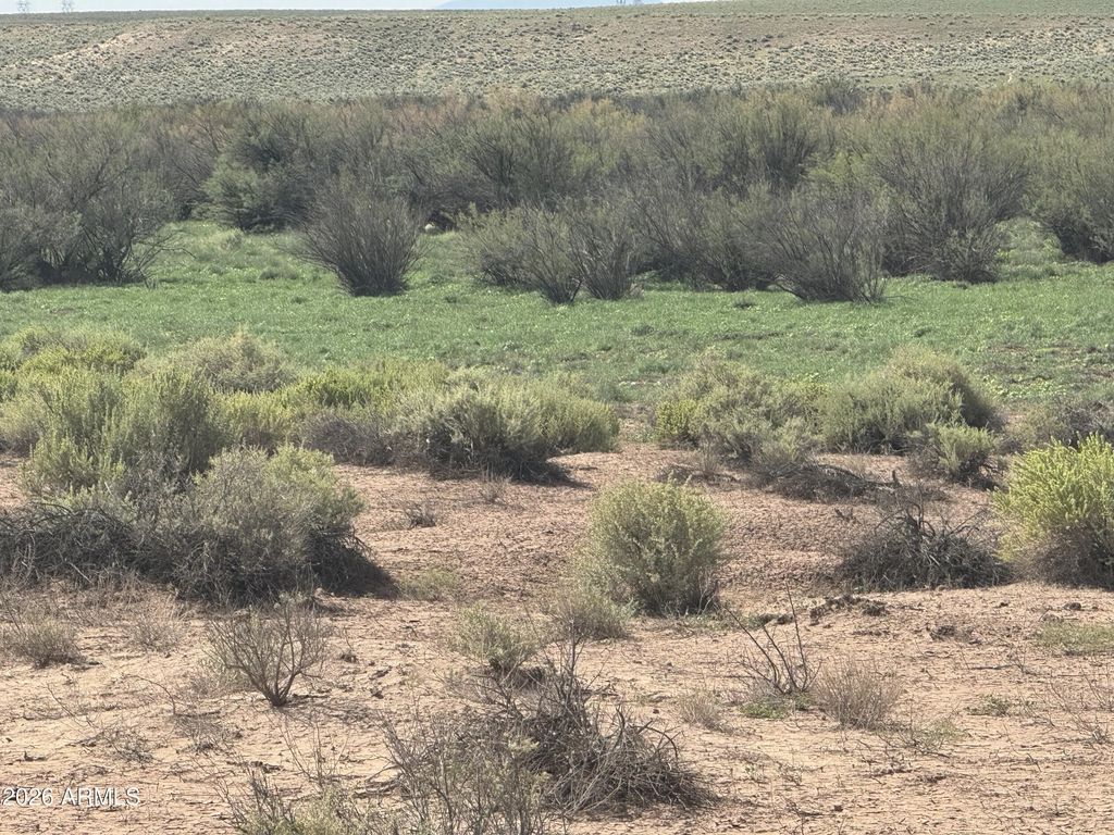 Lot 445 Carrizo Ranch -- (unit 445), St Johns